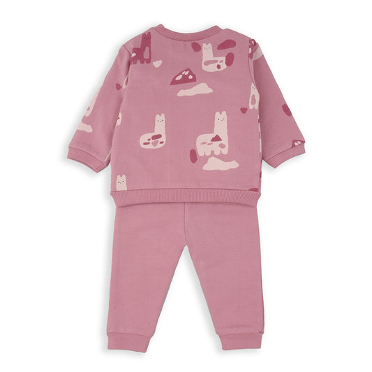 Chandal dos piezas You are llamazing - BabyBol