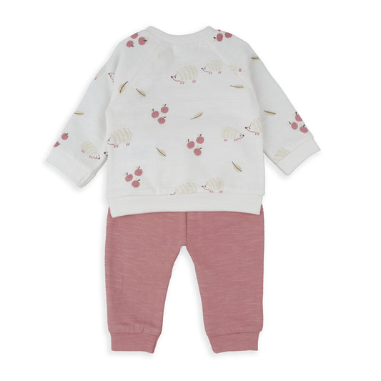 Conjunto chandal rosa Erizo - BabyBol