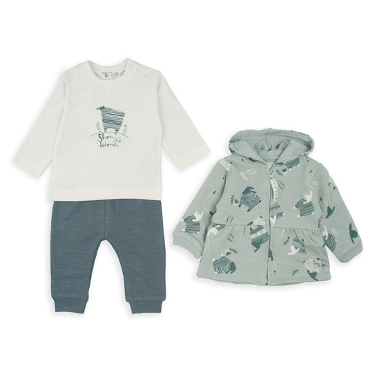 Conjunto chandal 3 piezas verde agua Sheep - BabyBol