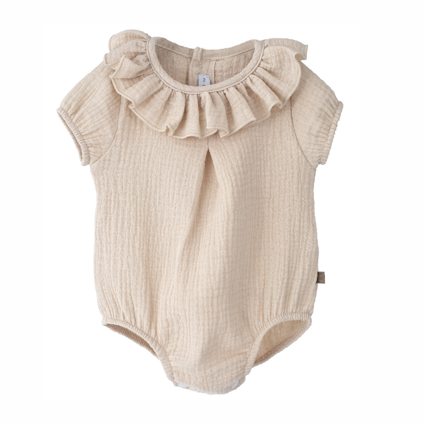 Ranita pelele Alborán arena - Calamaro