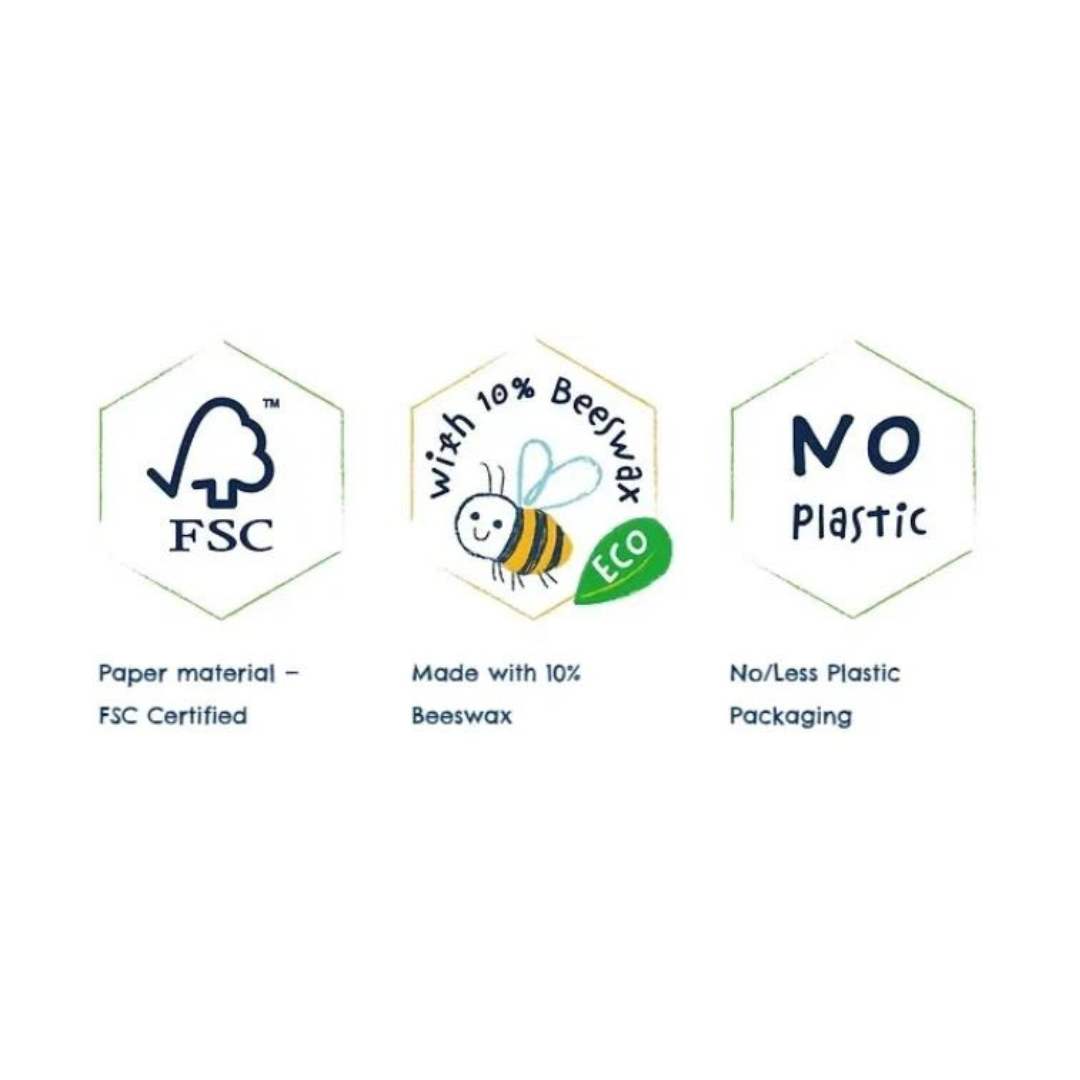 Crayones Búho 12 colores Haku Yoka