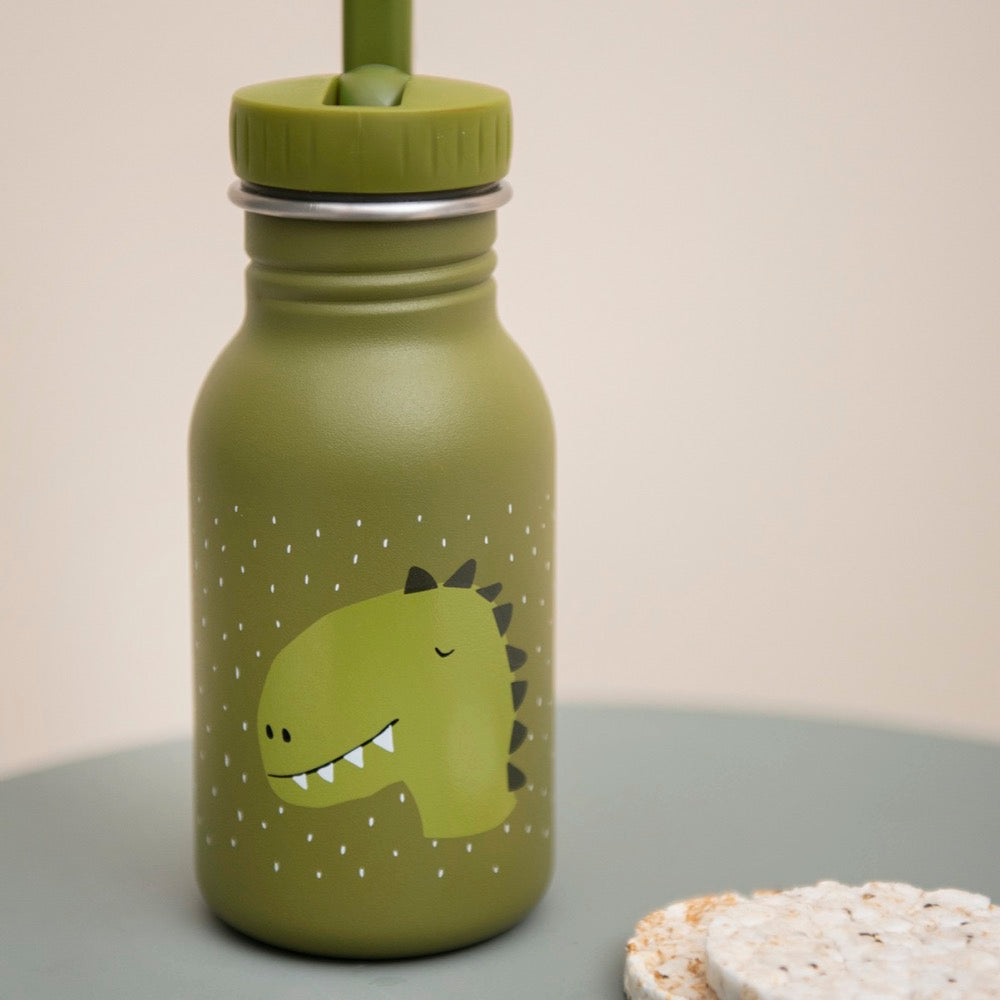 Botella acero 350ml Mr. Dino - Trixie
