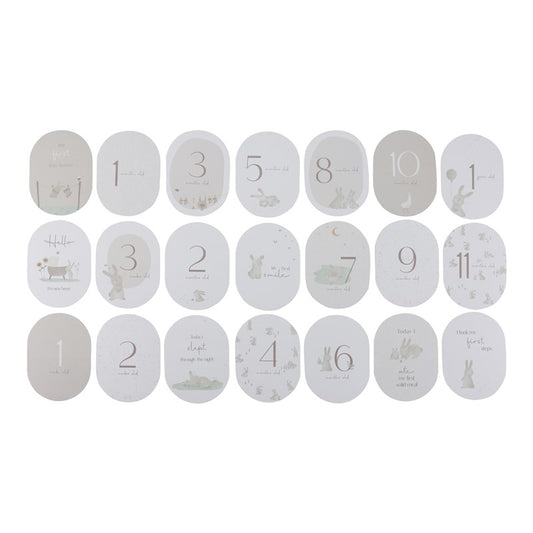 Tarjetas Milestone Baby Bunny - Little Dutch