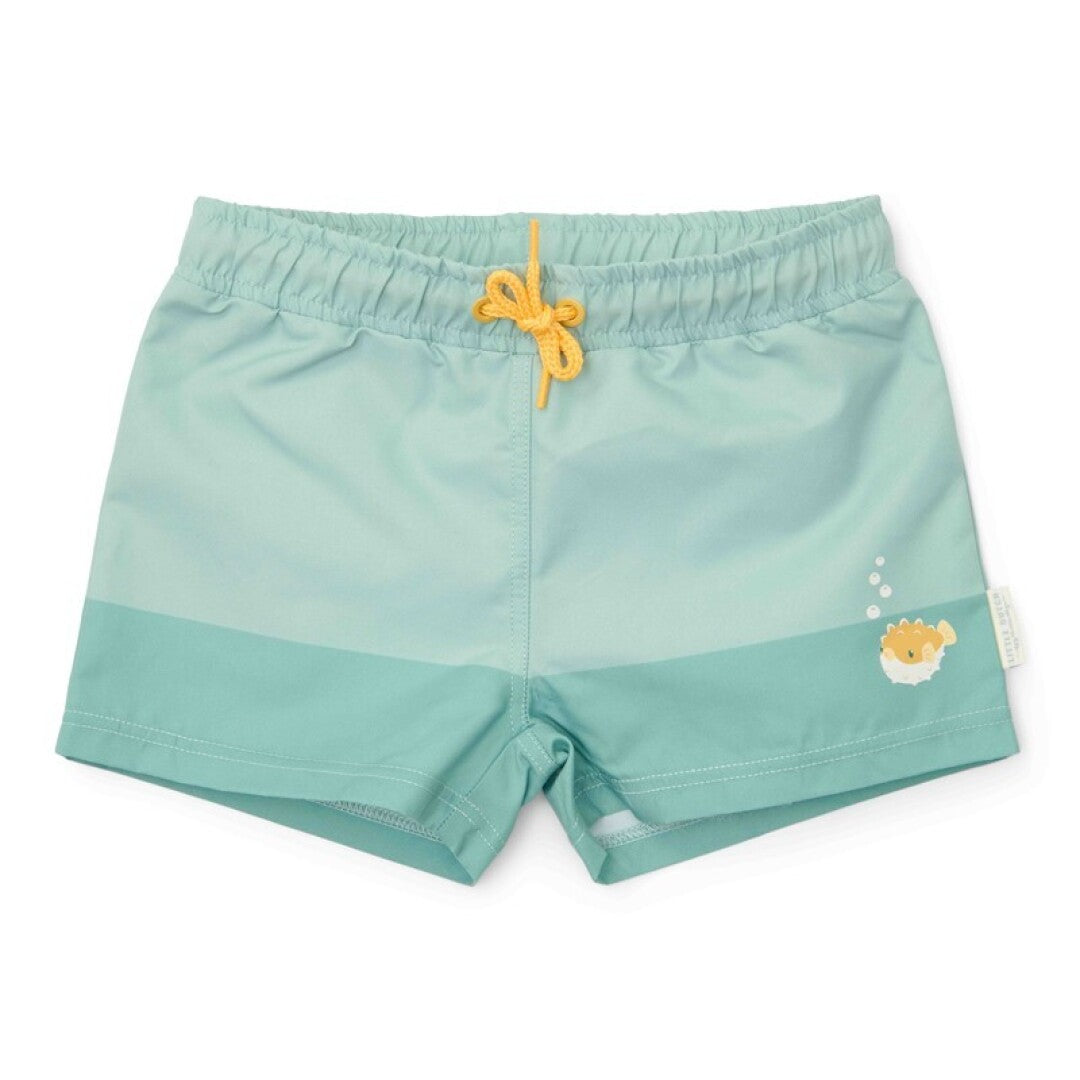 Bañador Conchas Surf - Little Dutch