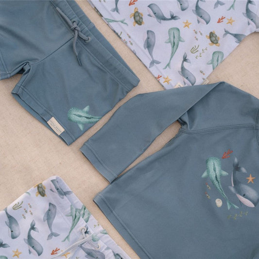 Boxer Ocean - Little Dutch