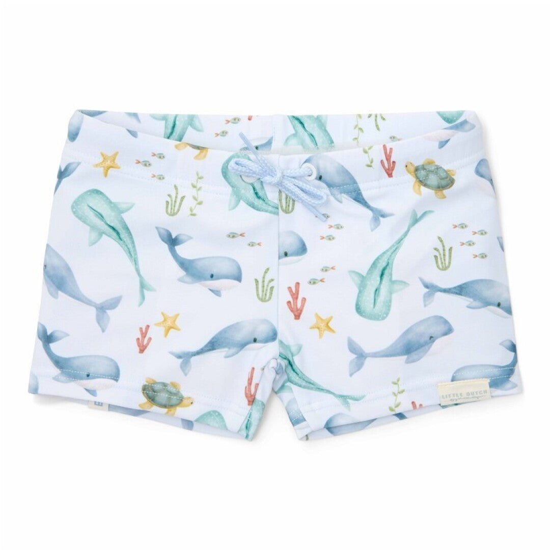Boxer Ocean - Little Dutch