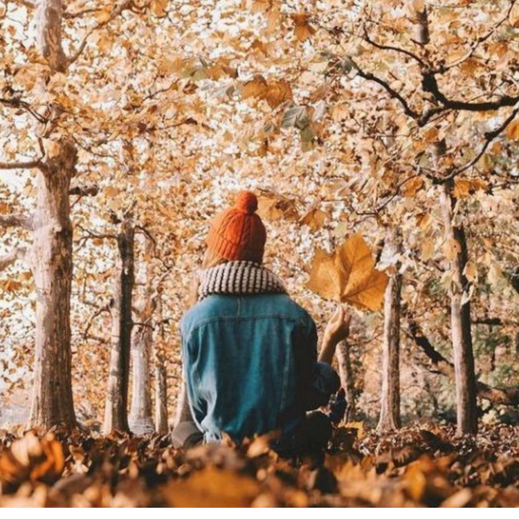 El otoño llega cargado de novedades  🍁