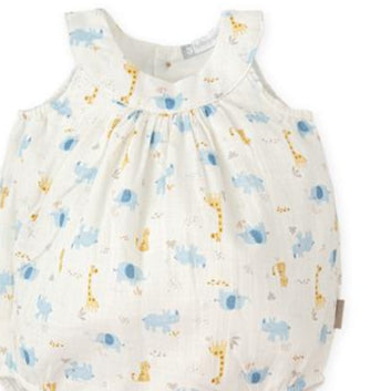 Ranita Kenia Tutto Piccolo