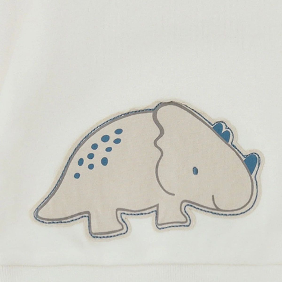 Chándal Niño Rayas Dino – Tutto Piccolo