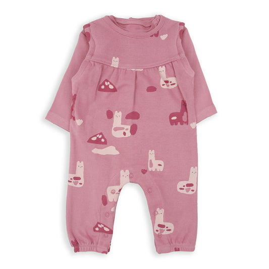 Conjunto peto dos piezas You are llamazing BabyBol