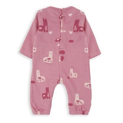 Conjunto peto dos piezas You are llamazing - BabyBol