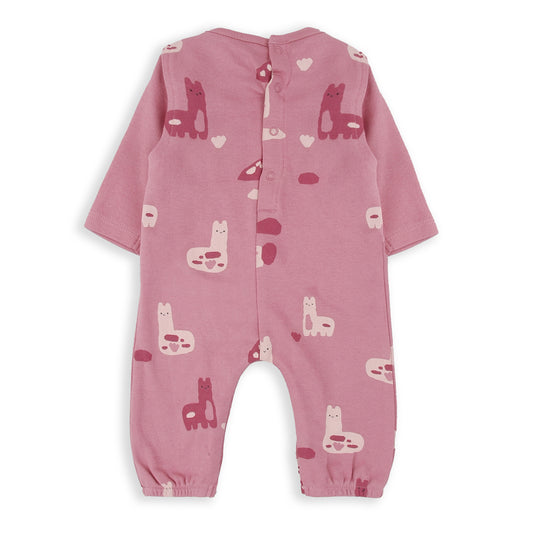 Conjunto peto dos piezas You are llamazing BabyBol