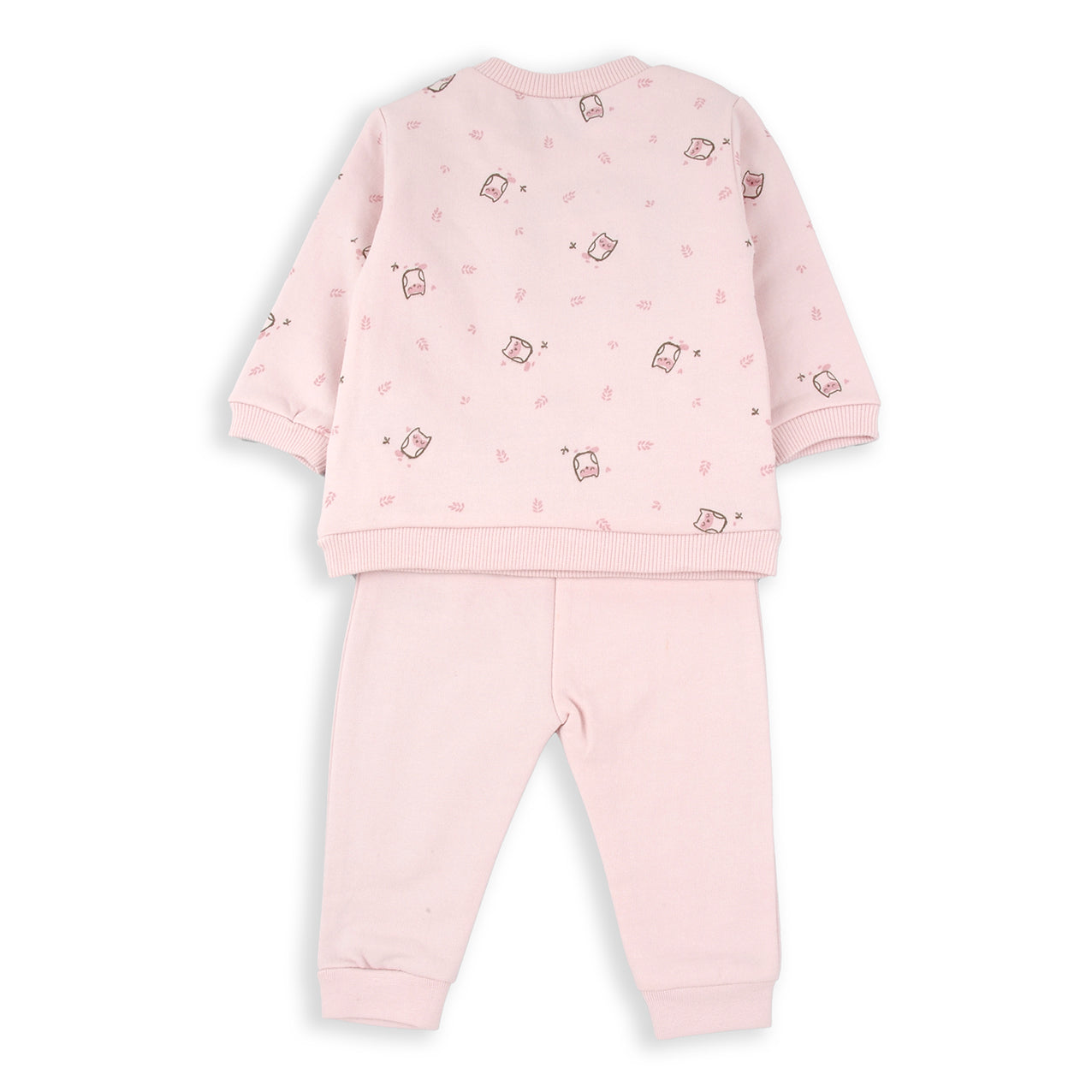 Chandal dos piezas Grow wise little owl BabyBol