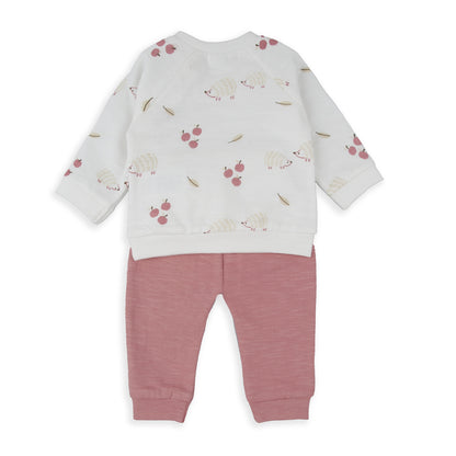 Conjunto chandal rosa Erizo - BabyBol