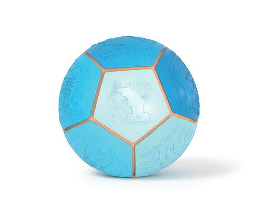 Sea Sensory Ball - Little L