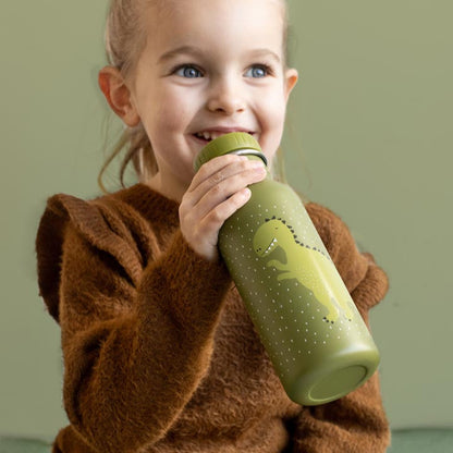 Botella acero 500ml Mr. Dino - Trixie