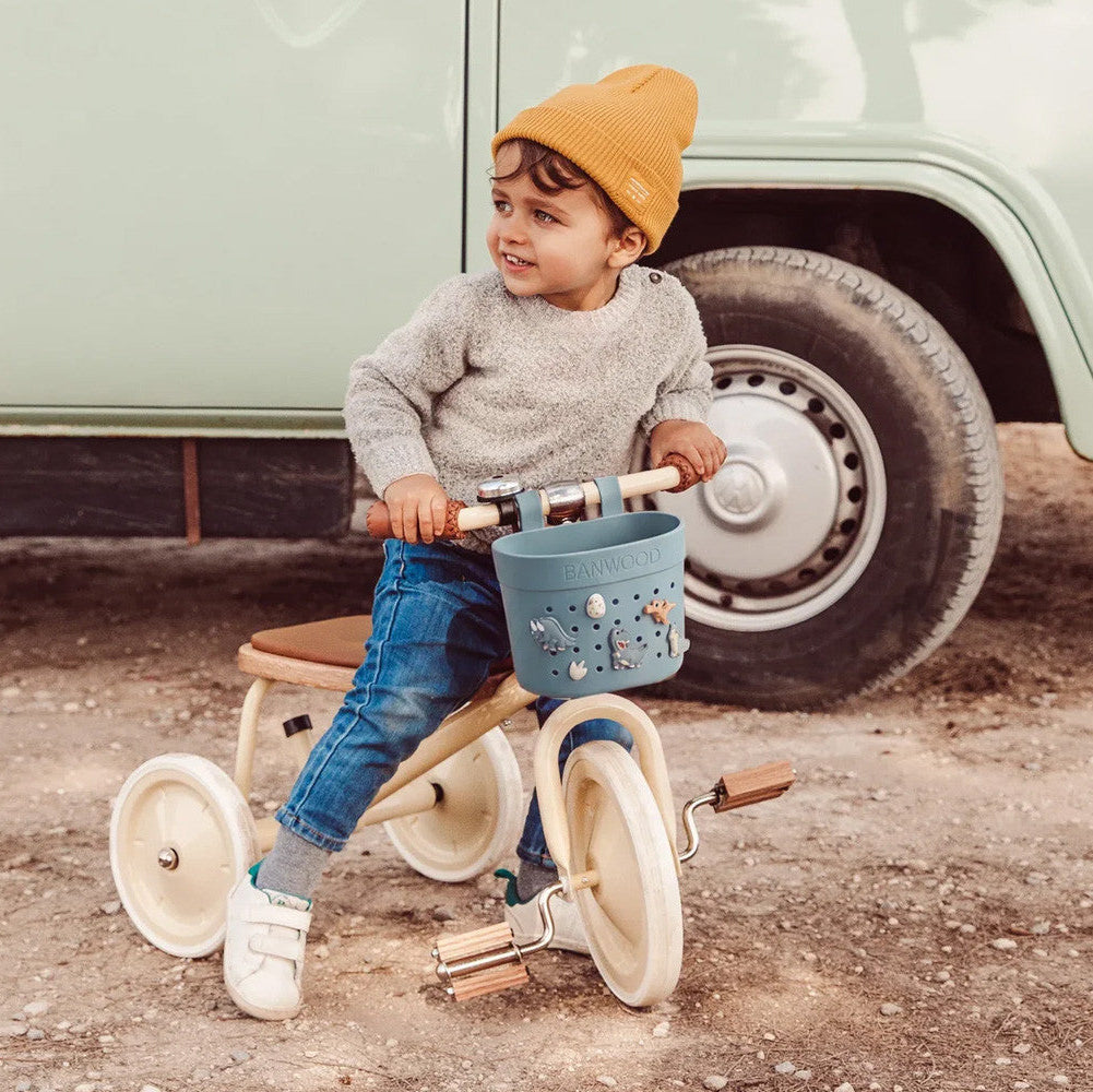 Cesta Pin & Ride Teal - Banwood