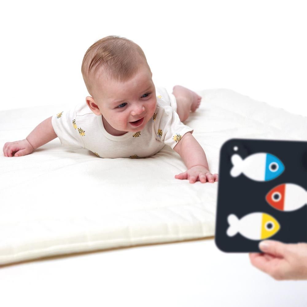Juego Estimulación Visual High Contrast Baby Cards