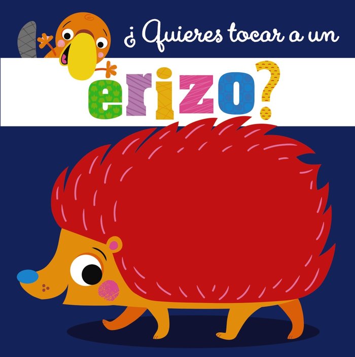 ¿Quieres tocar un erizo?
