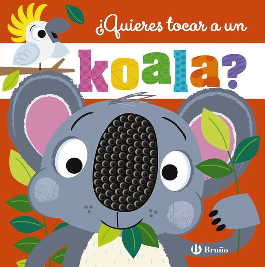 ¿Quieres tocar un koala?