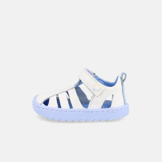 Sandalias Barefoot Cuba Azul - Blanditos