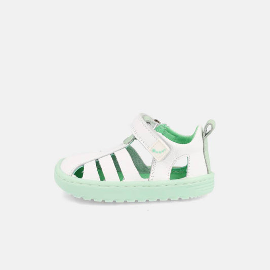 Sandalias Barefoot Cuba Verde - Blanditos