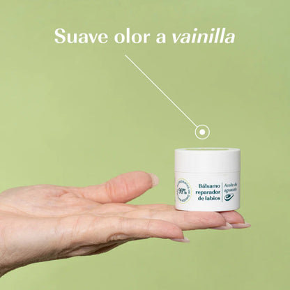 Bálsamo Labial de Aguacate 15 ml - Green Cornerss