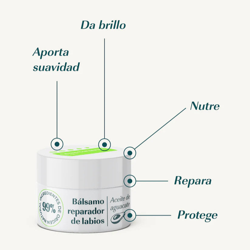 Bálsamo Labial de Aguacate 15 ml - Green Cornerss