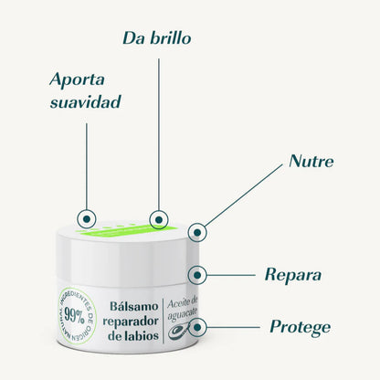 Bálsamo Labial de Aguacate 15 ml - Green Cornerss