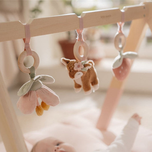 Baby Gym Fairy Garden - Little Dutch