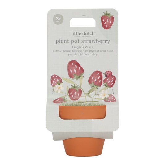 Maceta planta Fresas - Little Dutch