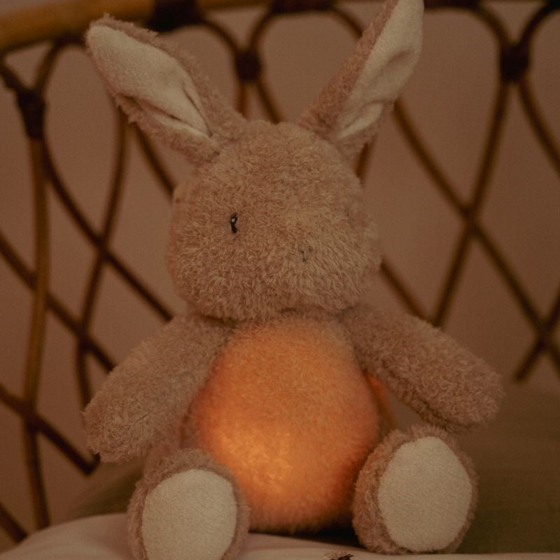Luz de compañía musical Conejito Newborn Naturals - Little Dutch