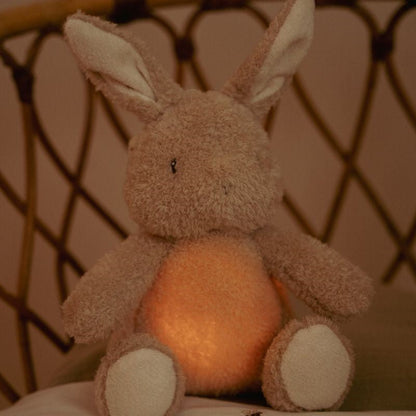 Luz de compañía musical Conejito Newborn Naturals - Little Dutch