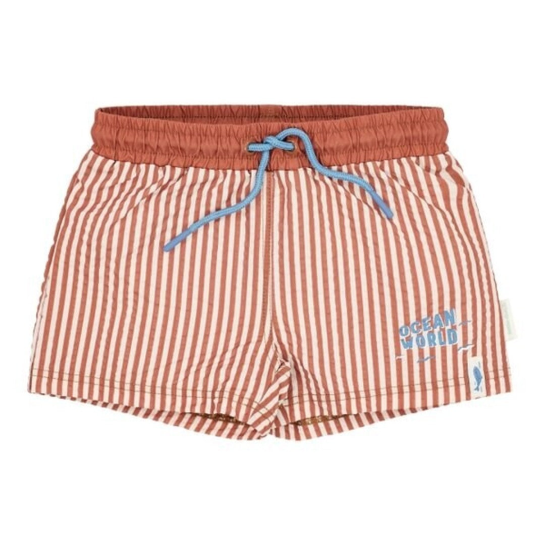 Bañador Brown Stripes - Little Dutch