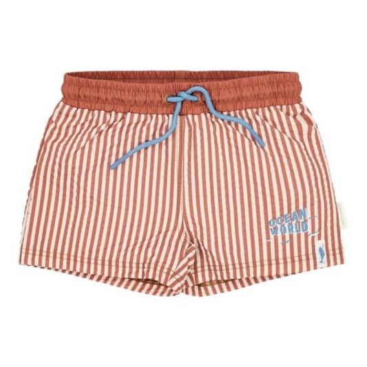 Bañador Brown Stripes - Little Dutch