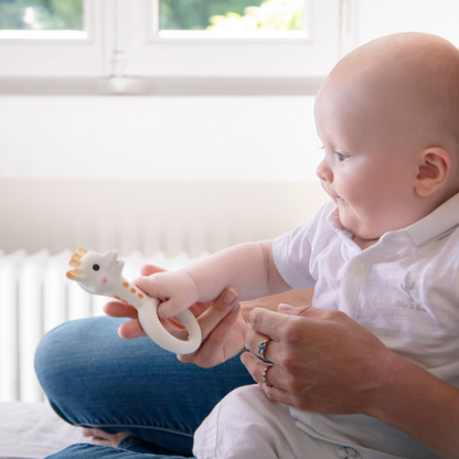 Anillo de dentición - Sophie la girafe