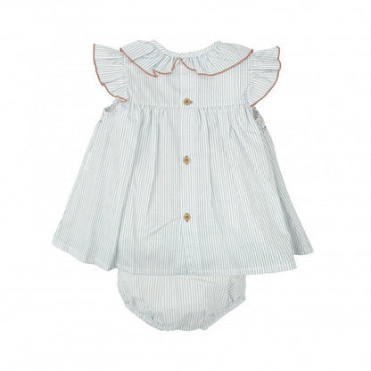 Jesusito nido abeja Claridad - Babidu