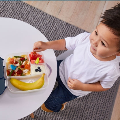Caja Lunchbox con gel refrigerante Indigo Rose - B.Box